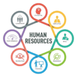 Group logo of The HR League - The HR & OB Club